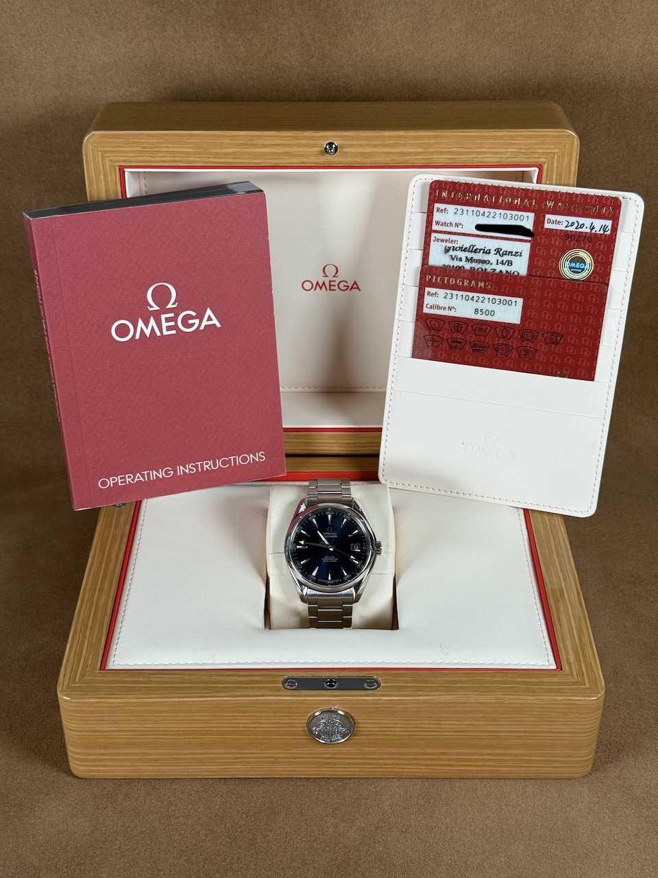 Omega Seamaster Aqua Terra Skyfall in hand